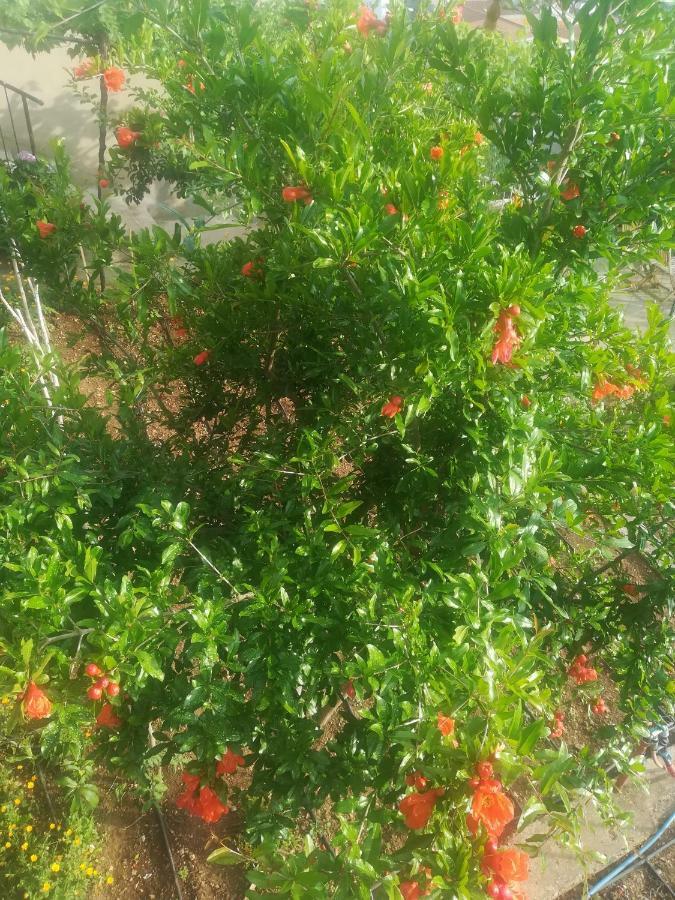 Apartman Betty Sibenik Luaran gambar