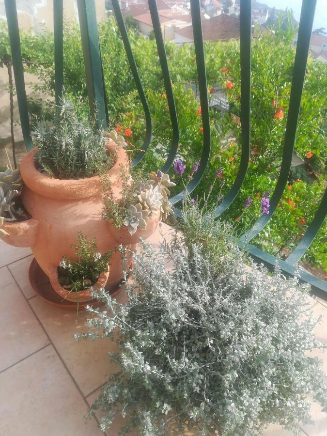 Apartman Betty Sibenik Luaran gambar